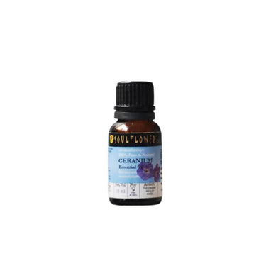 https://cdn.shopify.com/s/files/1/1857/6931/products/wjzjzaY7sp.jpg?v=1614911238